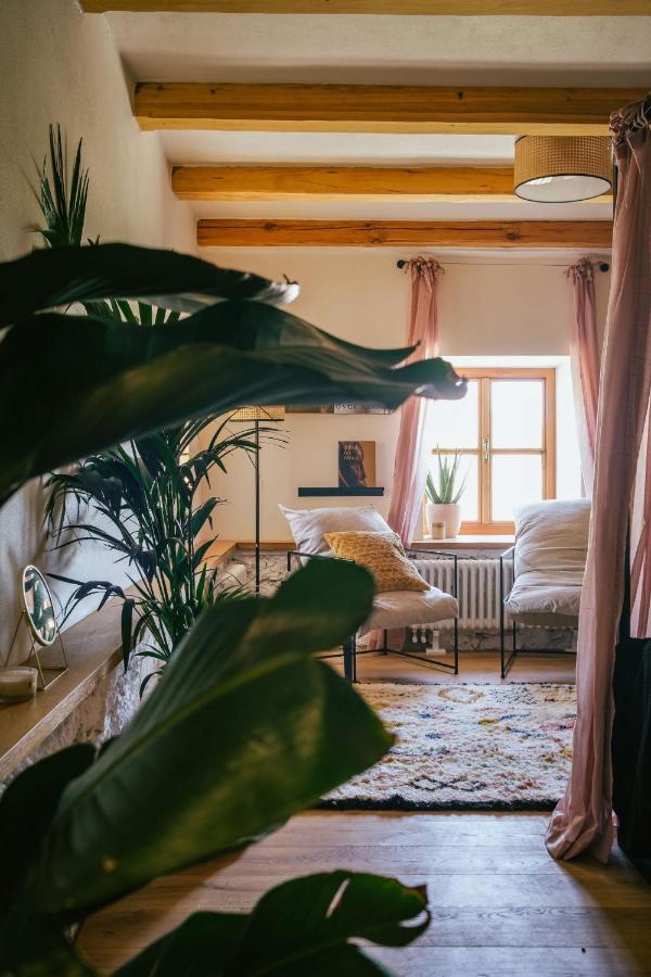 Marinada Vinicni Dum Bed & Breakfast Pavlov Exterior photo